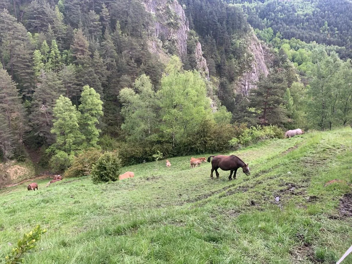 Passamane Pb - Canillo - Casco Antiguo Andorra